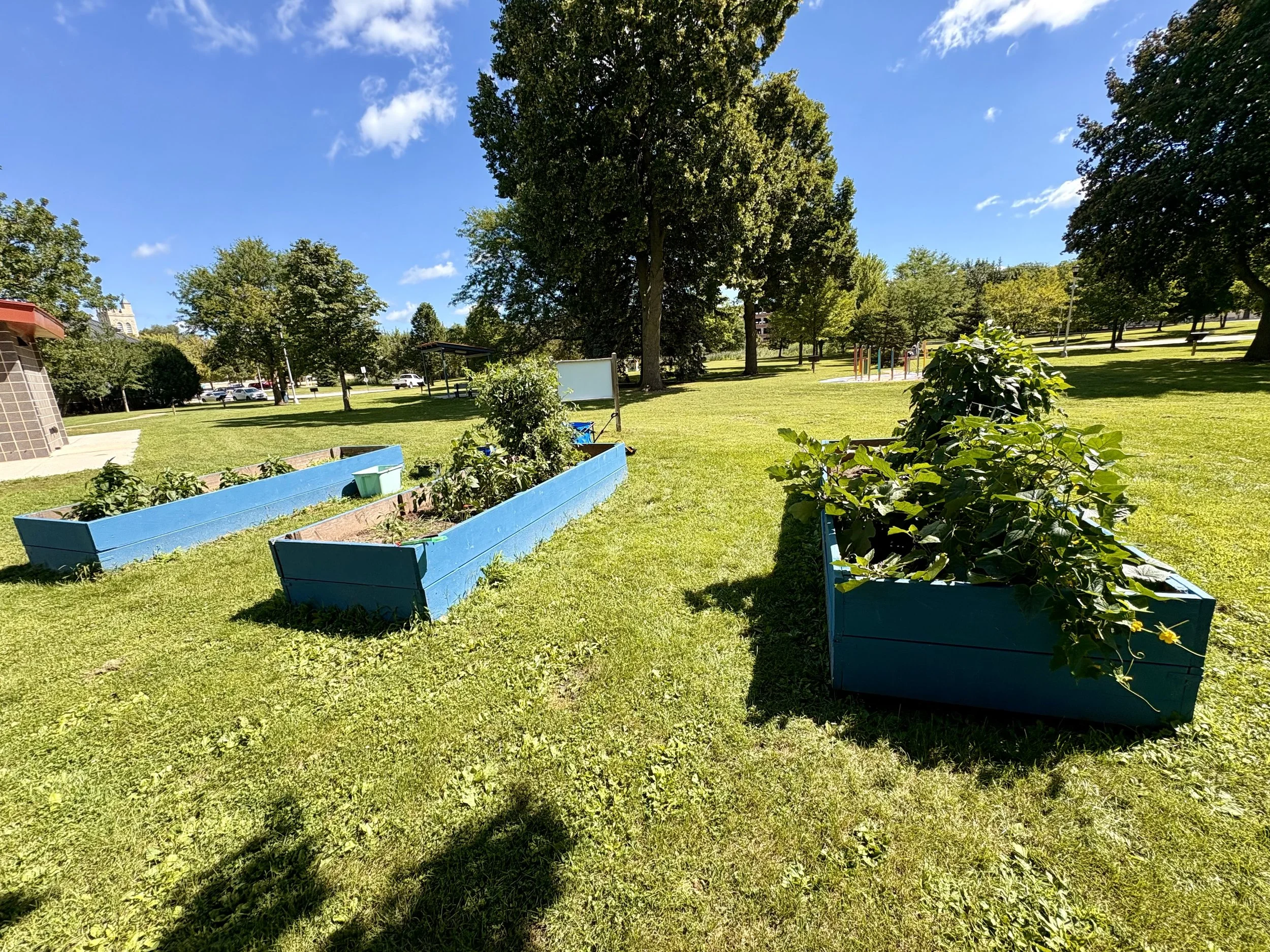Hamilton Park Community Garden